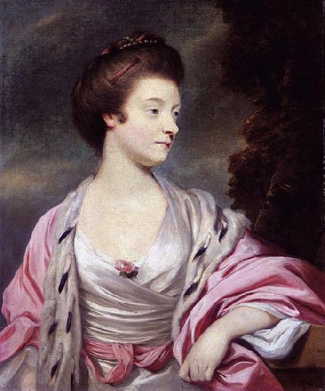 Sir Joshua Reynolds Elizabeth, Lady Amherst China oil painting art